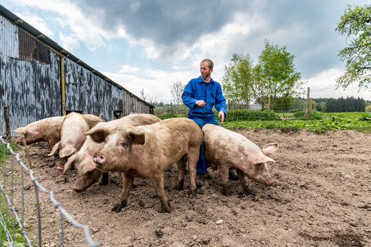 The Unselfish Butcher: Why You Should Buy Ethical Meat