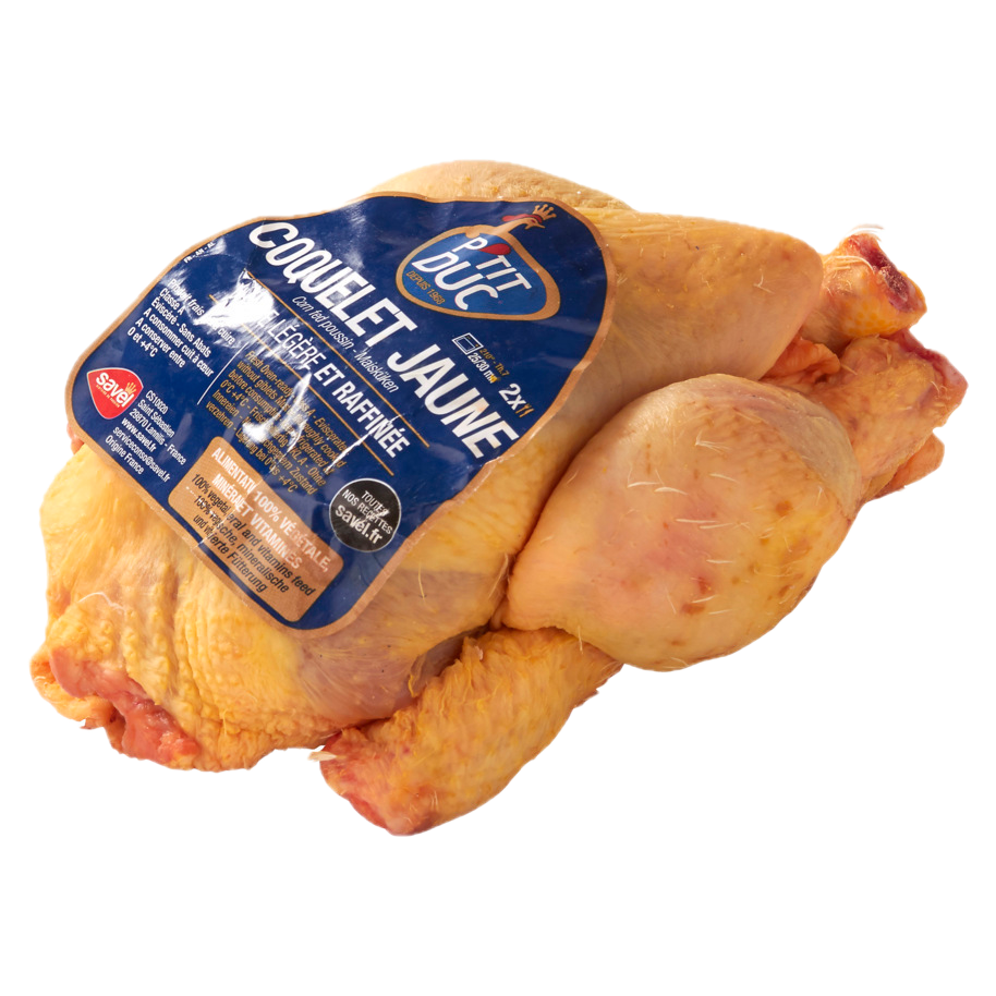 Young Cockerel