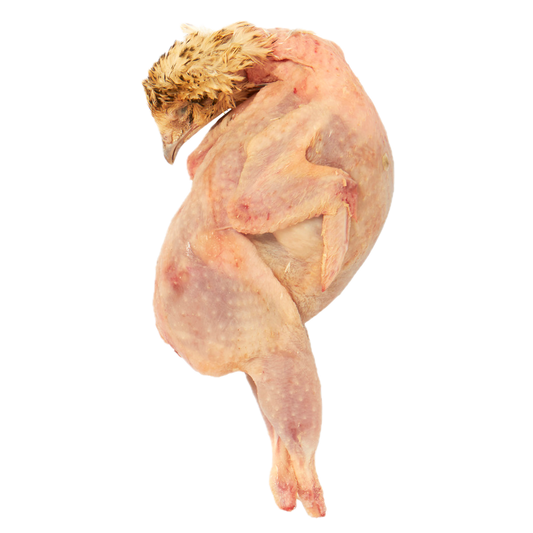 Kwartel