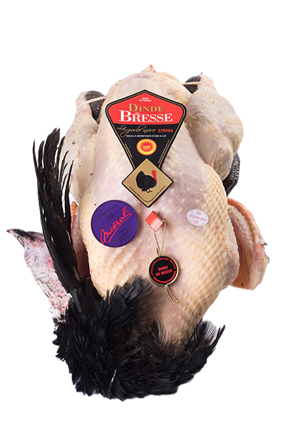 Dinde de Bresse