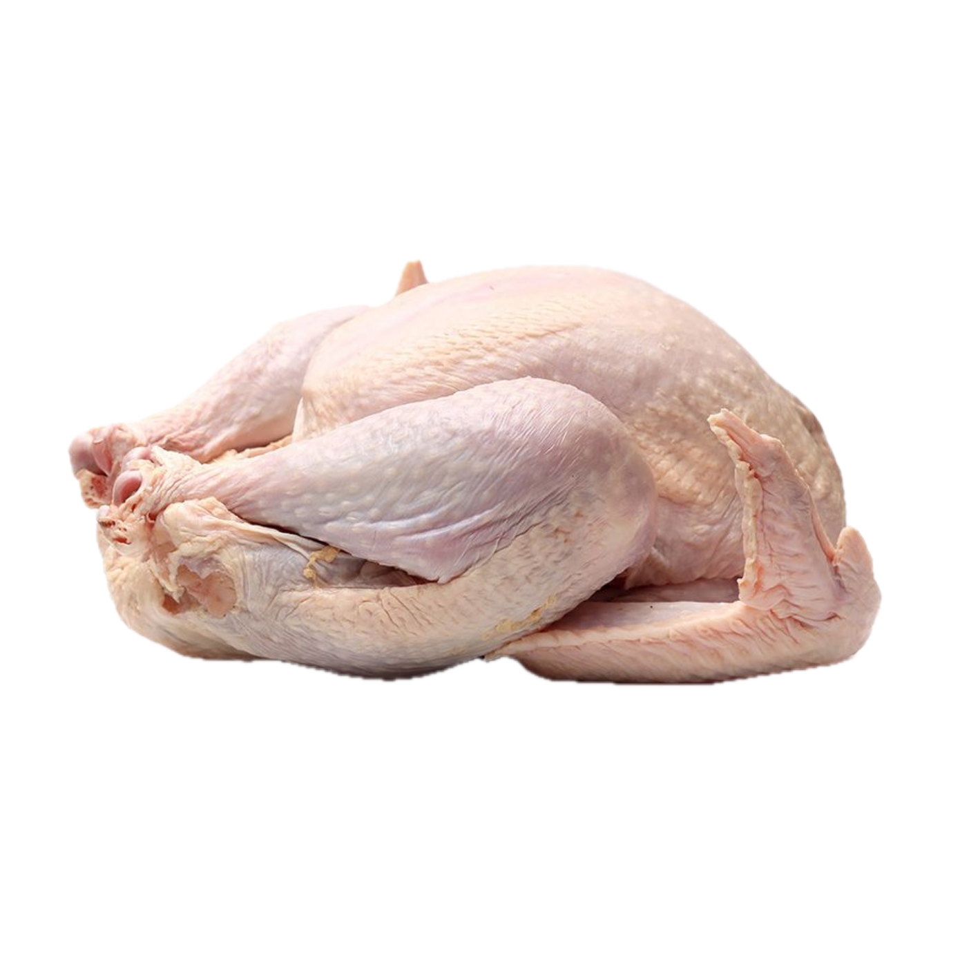 Bourgoense Kalkoen