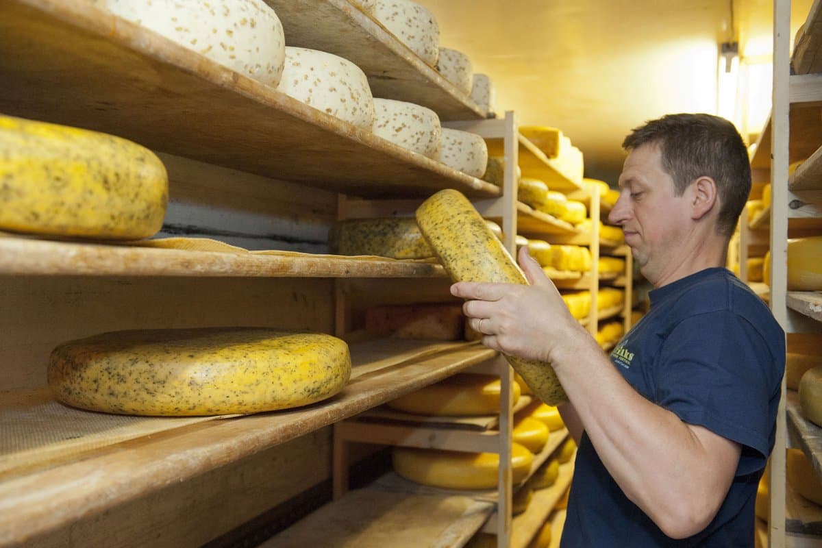 Peter Boonen in the Catharinadal ripening cellar