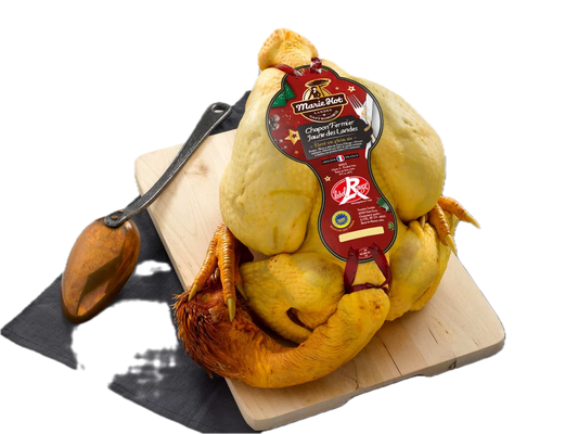 Gele Peyriguet Kapoen