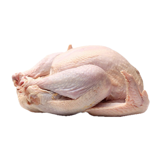 Bourgoense Kalkoen