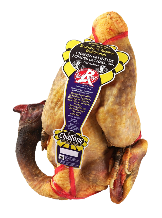 Parelhoen Kapoen