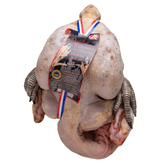Zwarte Peyriguet Kip
