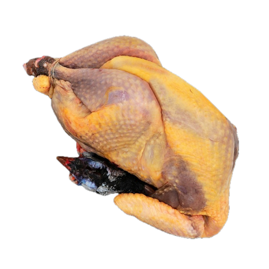 Bourgoense Parelhoen